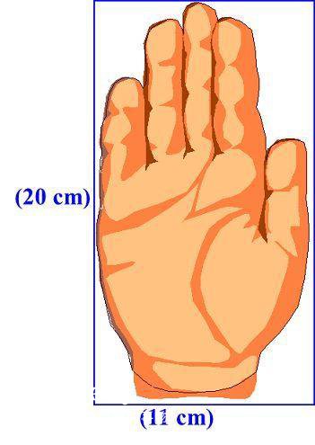汽車零部件 汽車零部件
